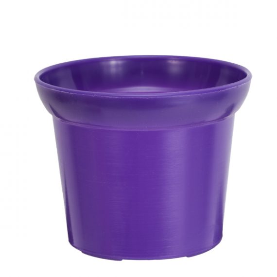 Violet Cottage Pot